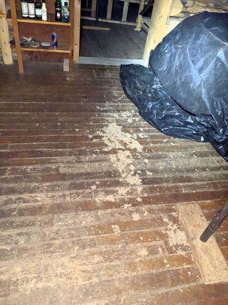 Standard pile of debris on the floor.