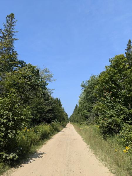 McCloud Grade on a warm, sunny day.