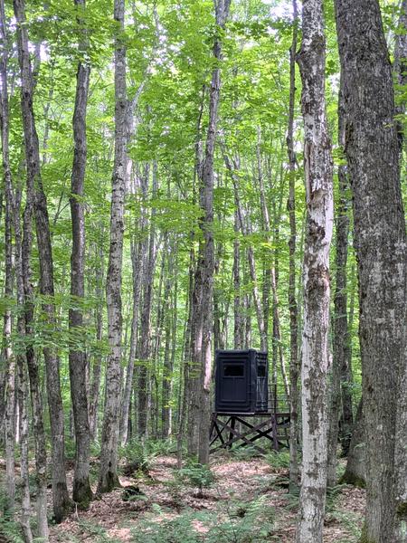 Another deer blind near Camp Harding.