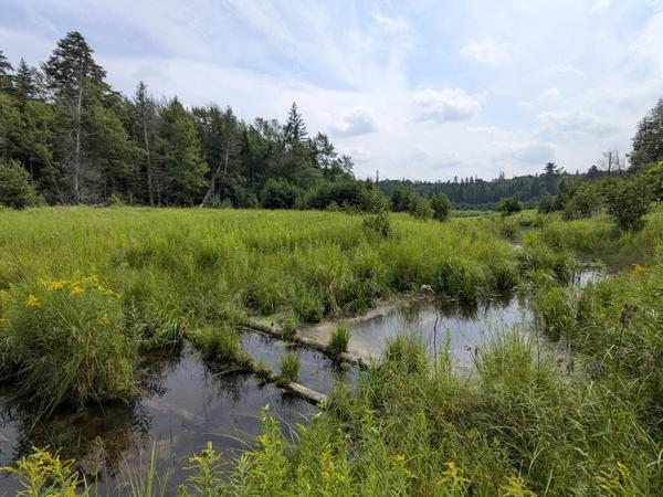 Harvey Creek with possible bridge remnants at Delton camp.