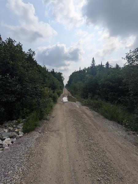 Harvey Creek crossing on McCloud Grade. There is a grouse just past the puddle.