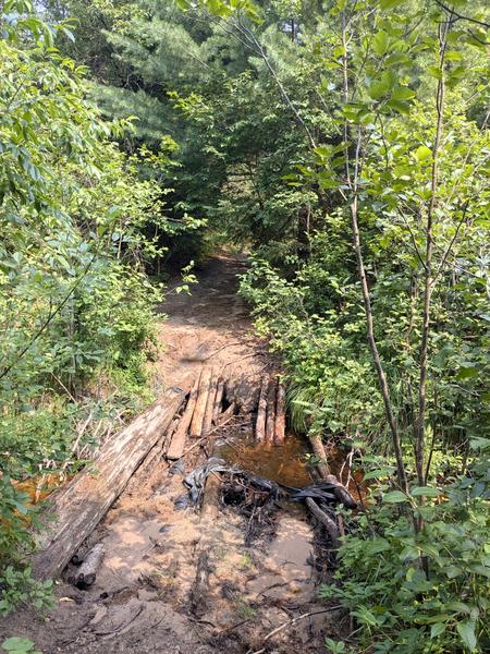 "Bridge" across Potter Creek on the trail to the Barfield Lakes.