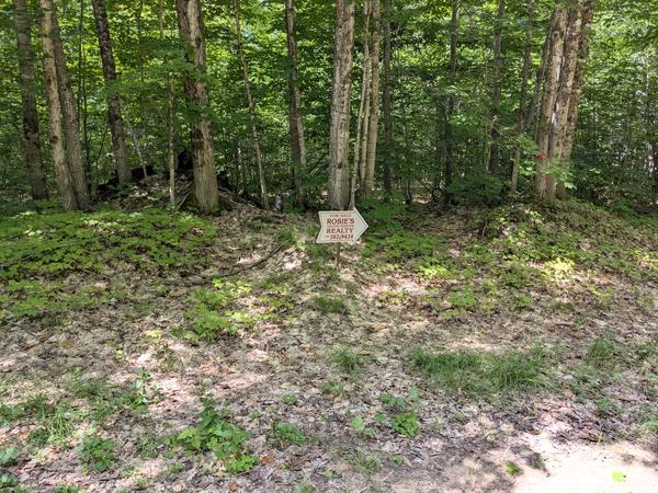 Realty sign pointing to camp for sale north of Sigan Camp Road.