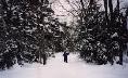 Jon snowshoeing
	  the trail in