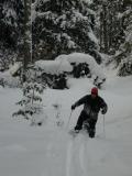 Jon reacquainting
	  himself with a small pine tree