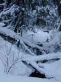 Creek from McCloud Grade