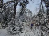 Jon amidst small trees