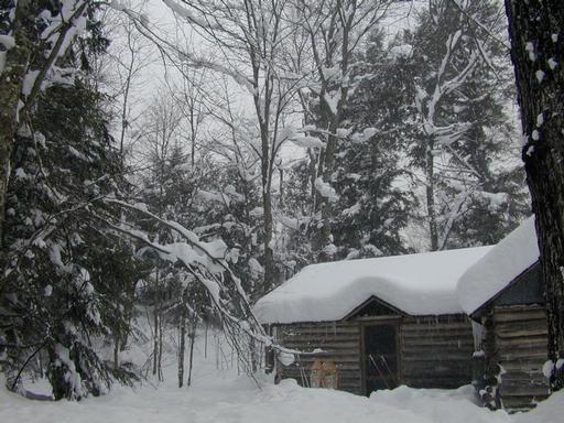 The bunk room.