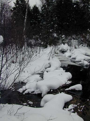 River behind cabin.