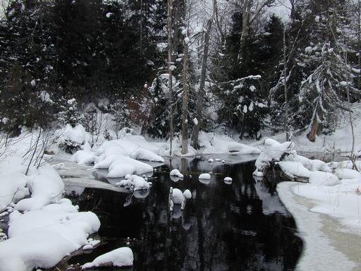 River behind cabin.