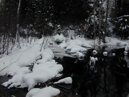 River behind cabin.