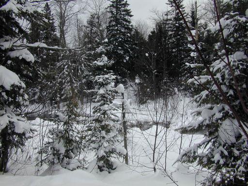 River behind the cabin.