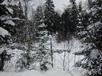 River behind the cabin.