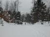 Matt skiing back to the cabin.