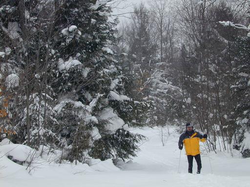 Matt skiing back to the cabin.