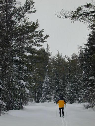 Matt skiing out from the cabin.