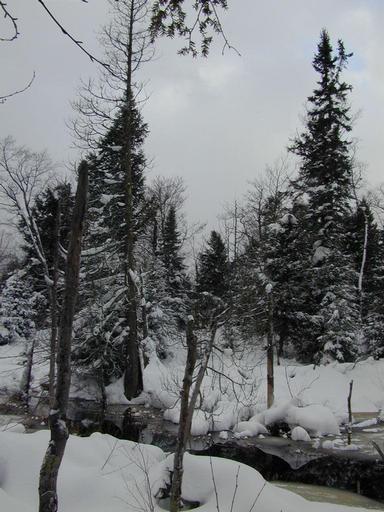 River behind the cabin.