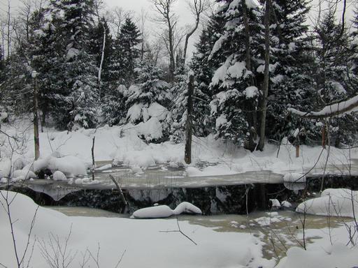 River behind the cabin.