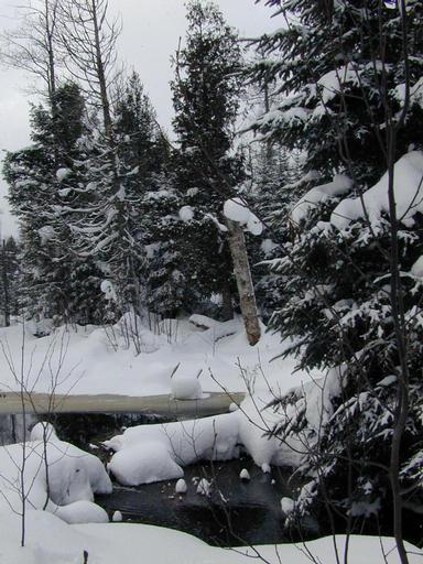 River behind the cabin.