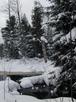 River behind the cabin.