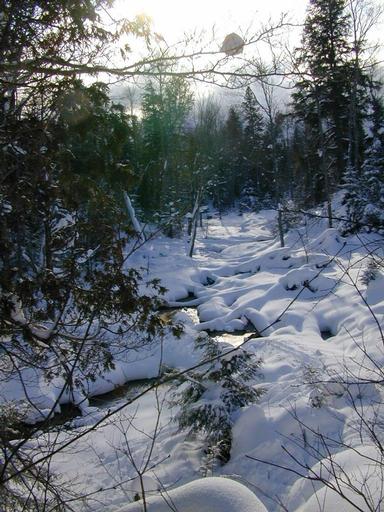 River from on top of the bank.