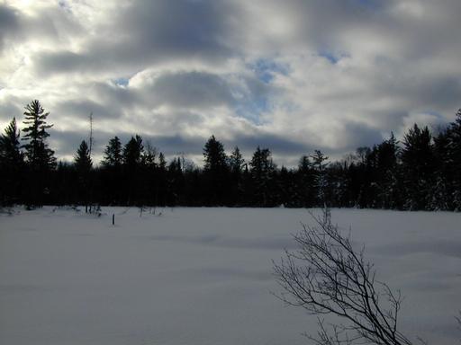 Snow covered marsh/pond.