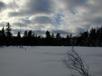 Snow covered marsh/pond.