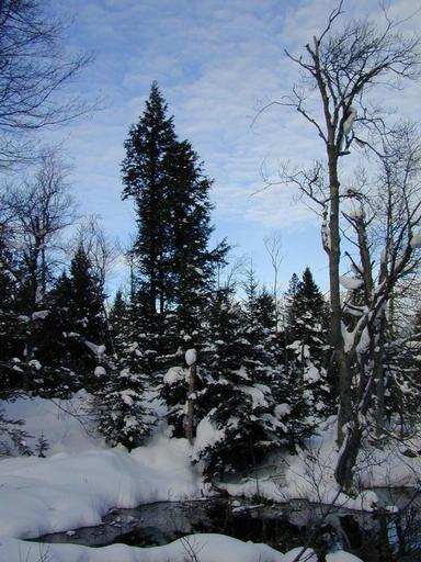 Scenery.