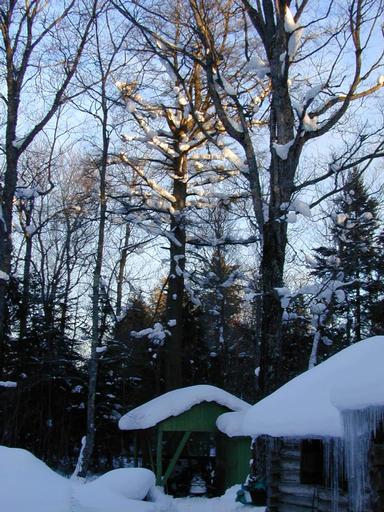 Scenery around the cabin.