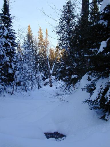 Scenery around the cabin.