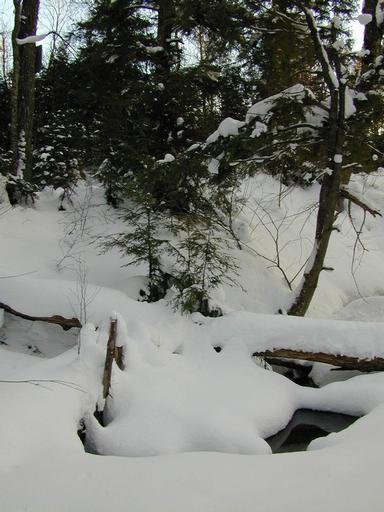 Scenery around the cabin.