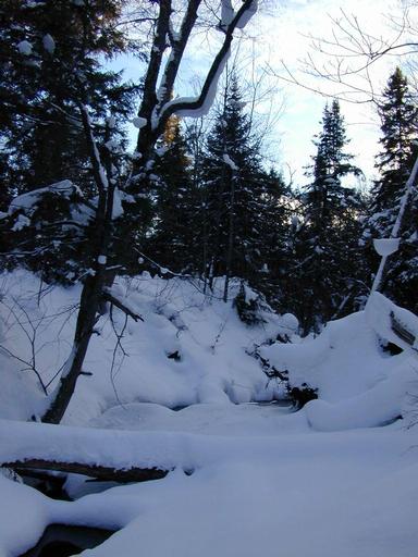 Scenery around the cabin.