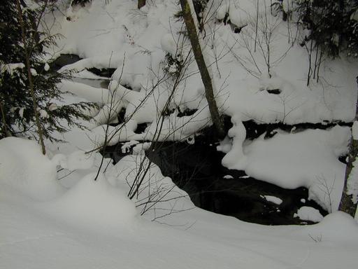 Scenery around the cabin.