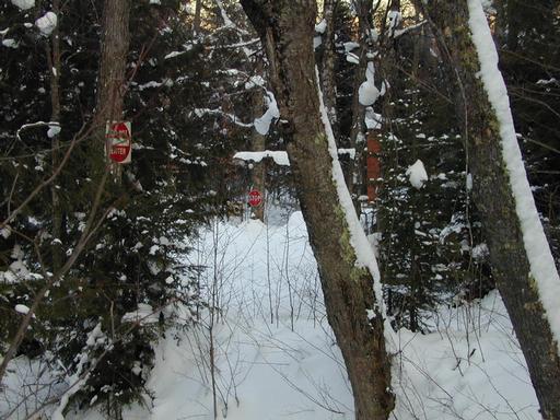 Scenery around the cabin.