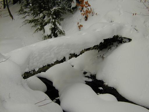 Scenery around the cabin.