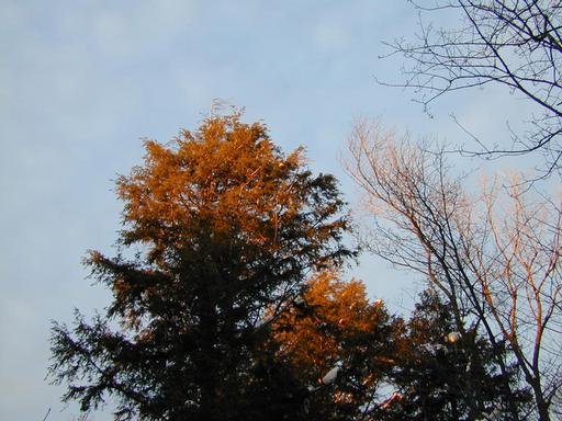 Scenery around the cabin.