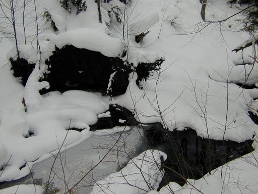 Scenery around the cabin.