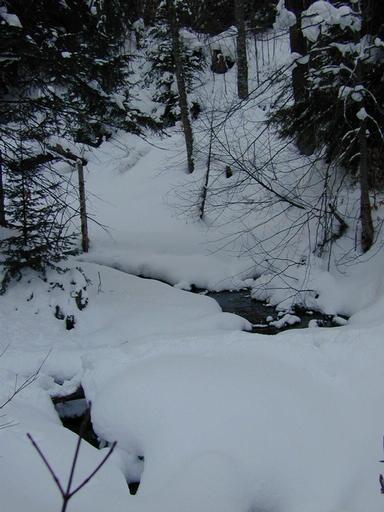 Scenery around the cabin.