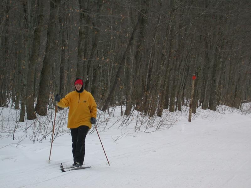 Vittoria skiing to the cabin from the trailhead.