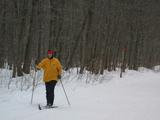 Vittoria skiing to the cabin from the trailhead.