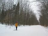 Vittoria skiing to the cabin from the trailhead.