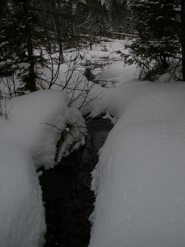 River behind the cabin.