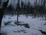 Marsh behind the cabin.