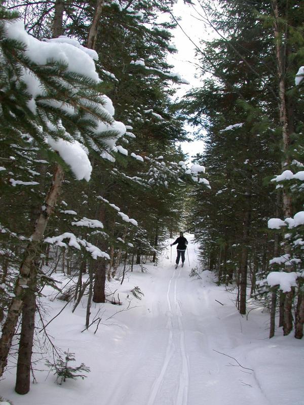 Amelia skiing.