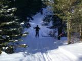 Amelia skiing back across the bridge.