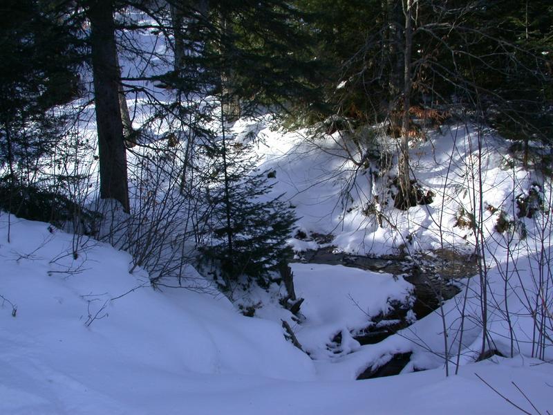 River by the cabin.