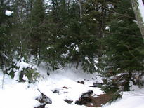 The creek near the cabin.