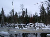 River behind the cabin.