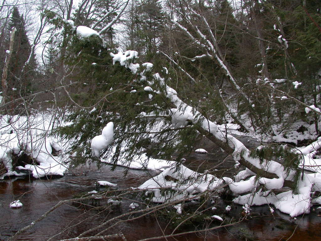 The Sucker river.