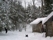 Bill and Scozi with the scenery around the cabin after the snowfall.